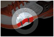 Lateral Claw